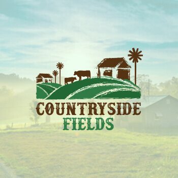 1496460101-countrysidefields